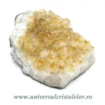 Citrin cluster Citrin cluster