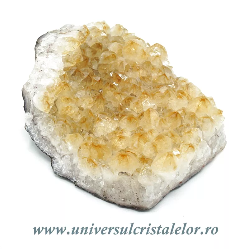Citrin cluster Citrin cluster