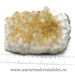 Citrin cluster Citrin cluster