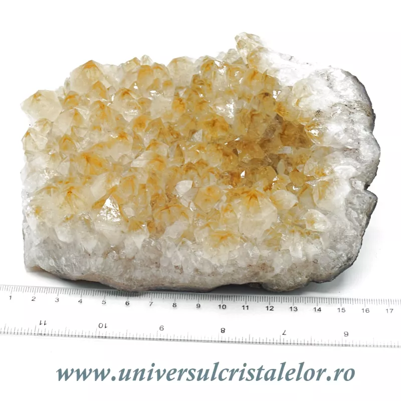 Citrin cluster Citrin cluster