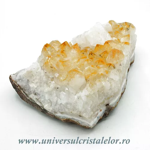 Citrin cluster m10 Citrin cluster m10