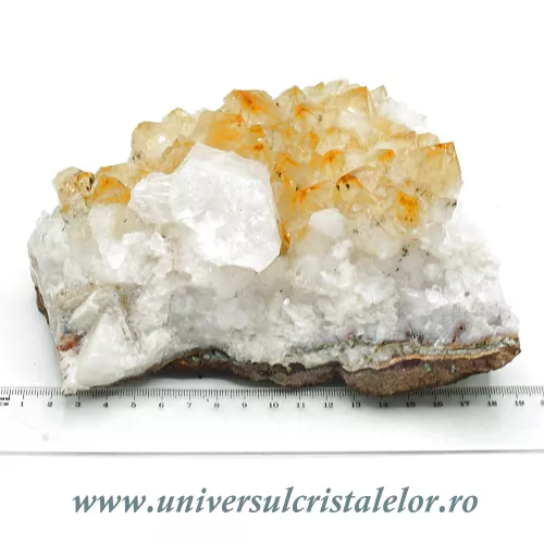 Citrin cluster m10 Citrin cluster m10