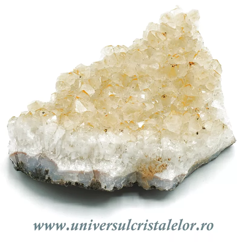 Citrin cluster Citrin cluster
