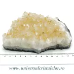 Citrin cluster Citrin cluster