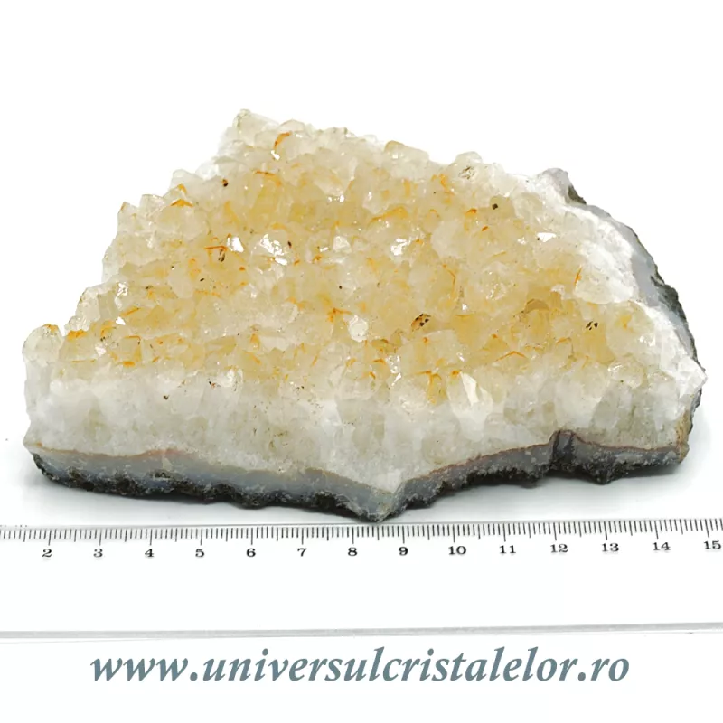 Citrin cluster Citrin cluster