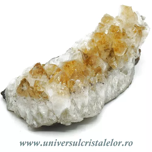 Citrin cluster m23 Citrin cluster m23