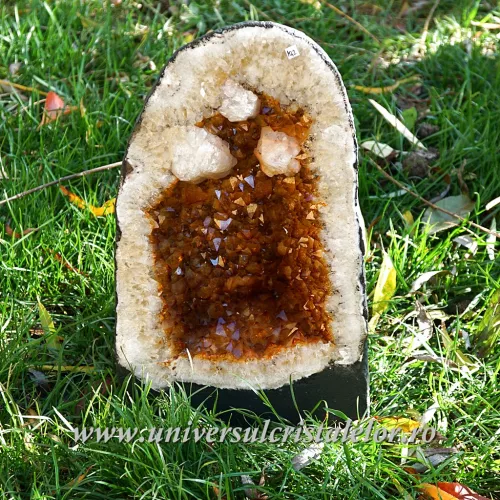 Geoda citrin  Geoda citrin