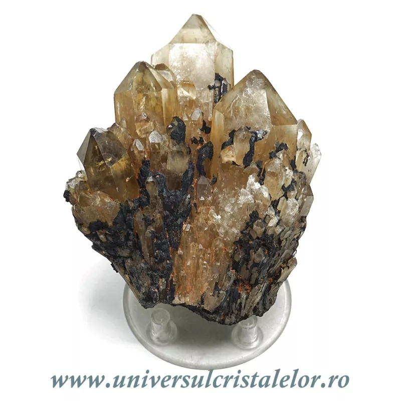 Citrin natural Citrin natural