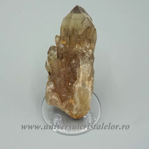 Citrin natural m04 Citrin natural m04