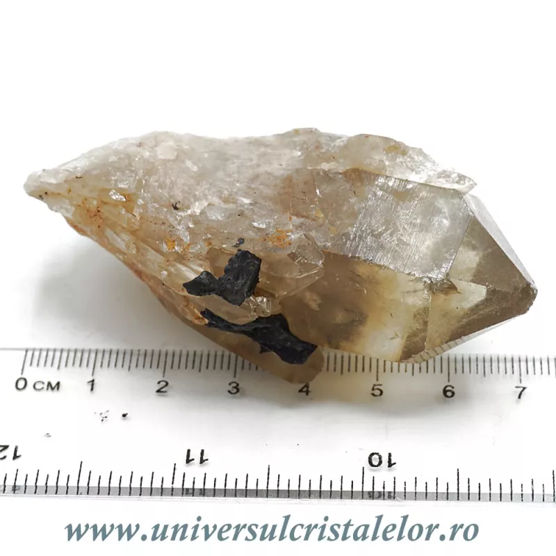 Citrin natural Citrin natural
