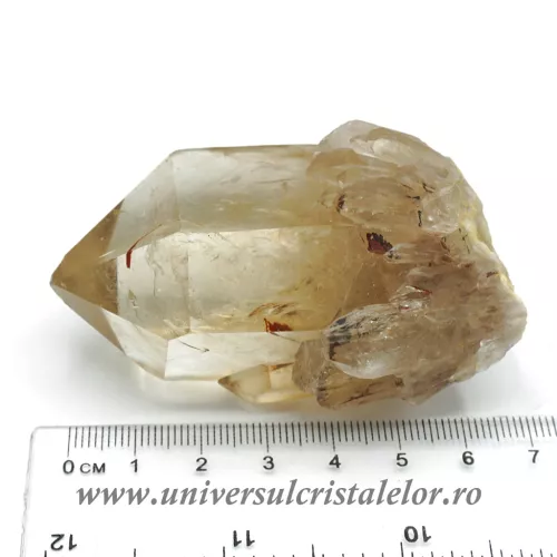 Citrin natural m43 Citrin natural m43