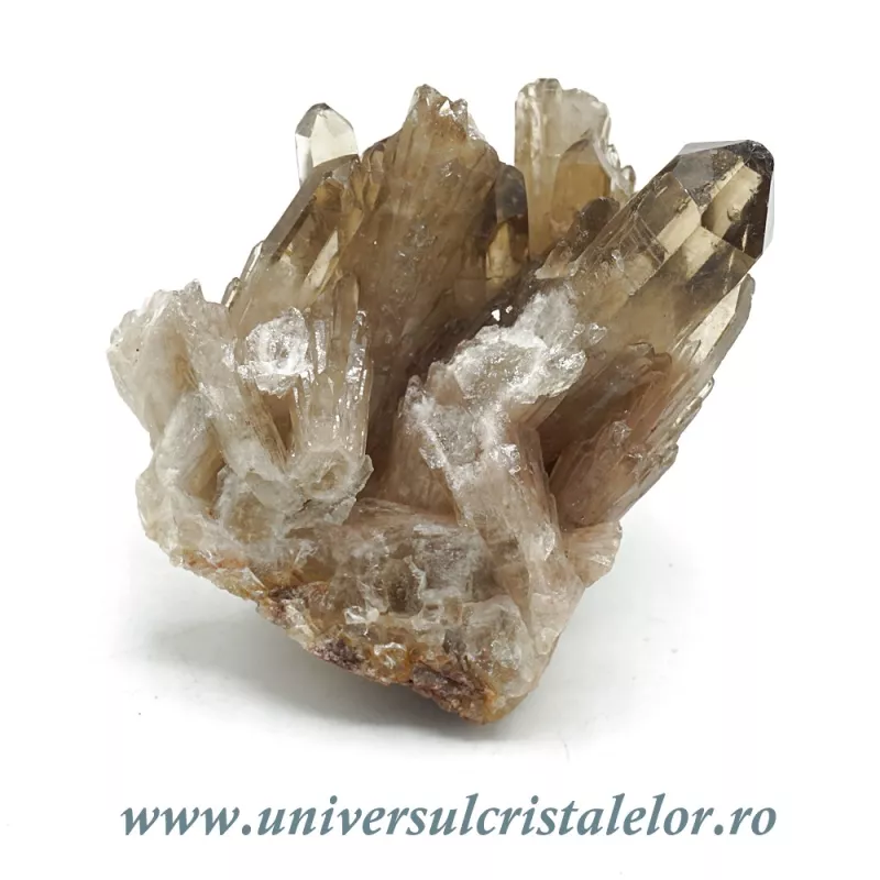 Citrin natural Citrin natural
