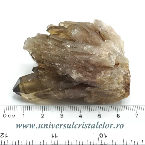 Citrin natural m40 Citrin natural m40