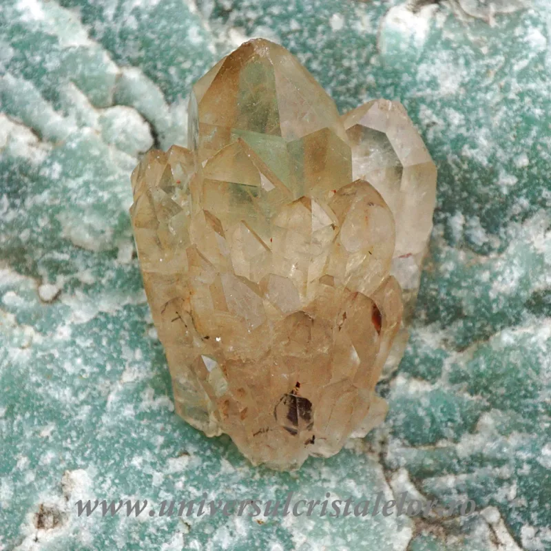 Citrin natural unicat m12