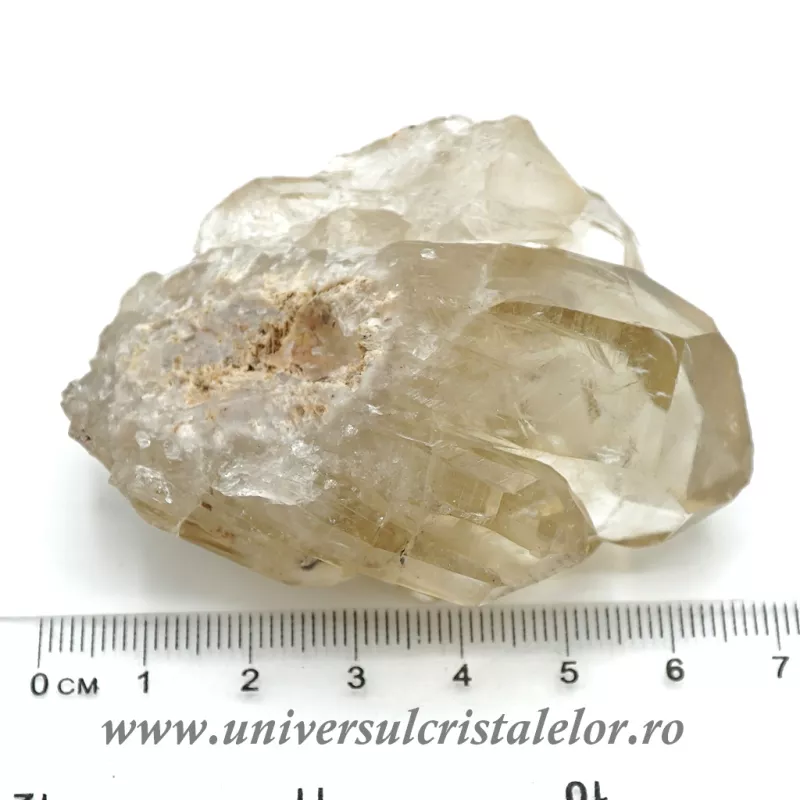 Citrin natural unicat m12