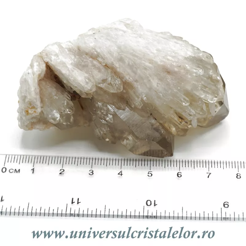 Citrin natural Citrin natural