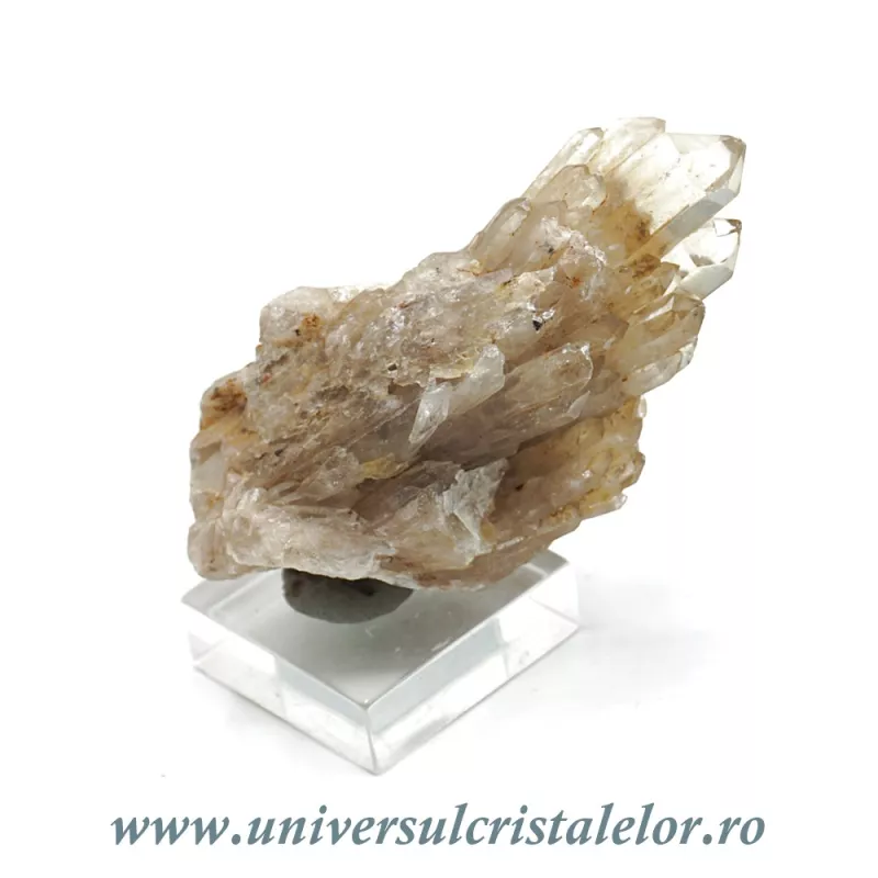 Citrin natural Citrin natural