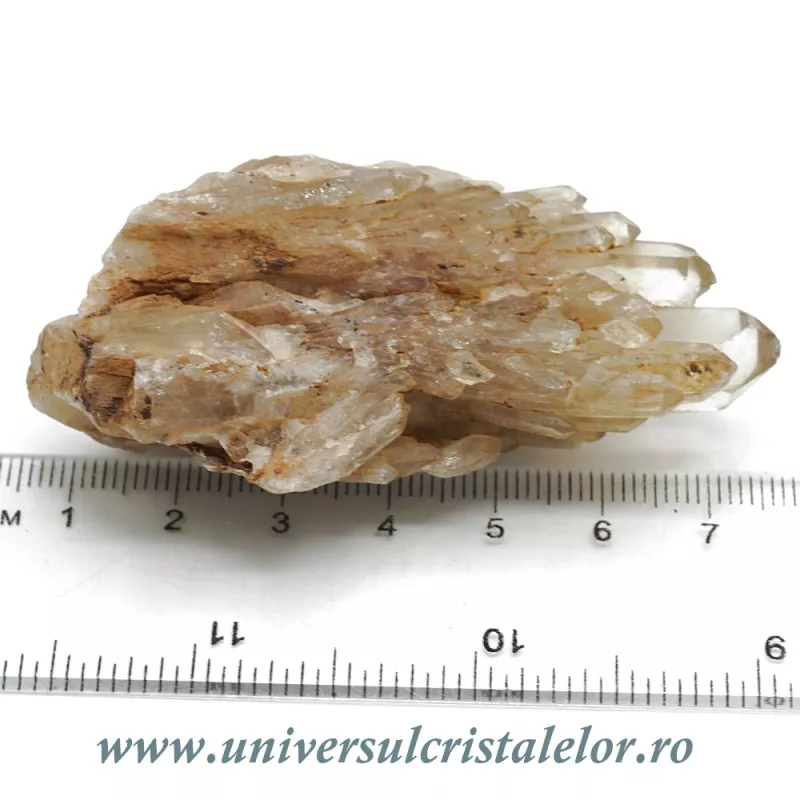 Citrin natural Citrin natural
