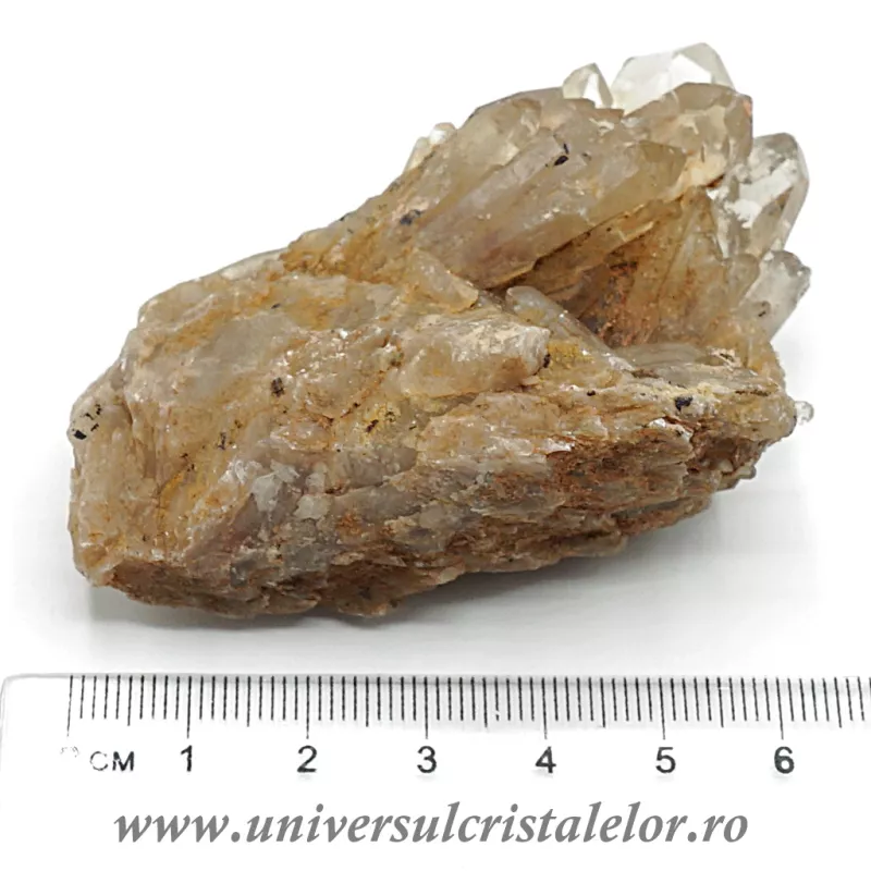 Citrin natural Citrin natural