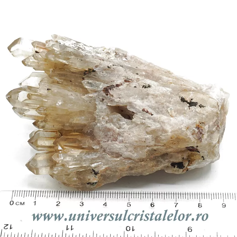 Citrin natural Citrin natural