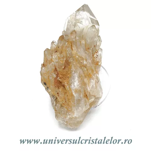 Citrin natural m42 Citrin natural m42