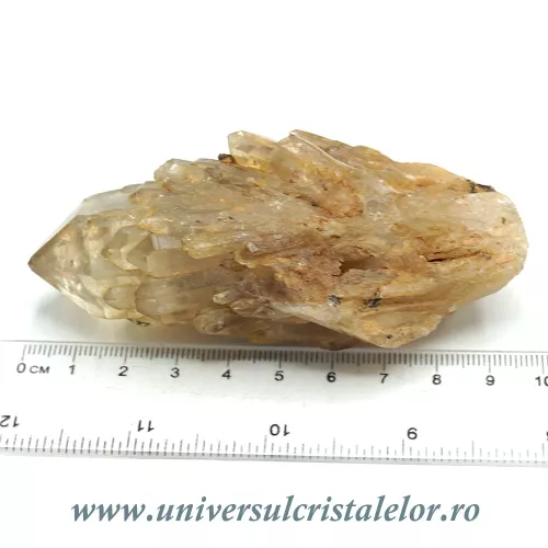 Citrin natural m42 Citrin natural m42