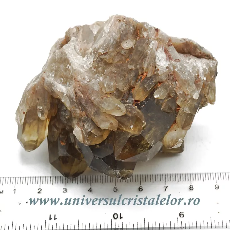 Citrin natural Citrin natural