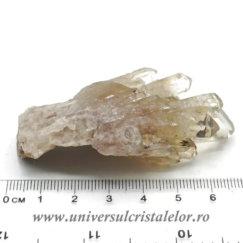 Citrin natural Citrin natural