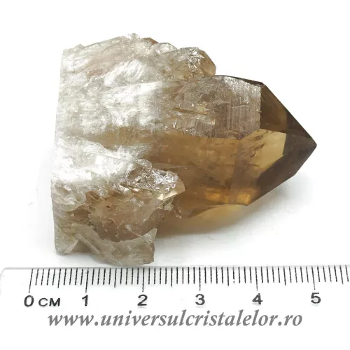 Citrin natural m05 Citrin natural m05