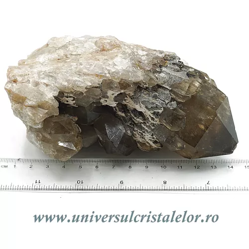 Citrin natural m27 Citrin natural m27