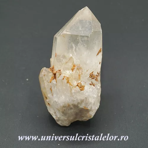 Citrin natural m31 Citrin natural m31