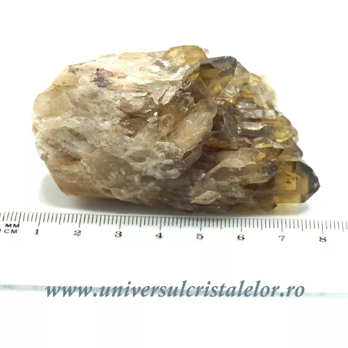 Citrin natural m32 Citrin natural m32