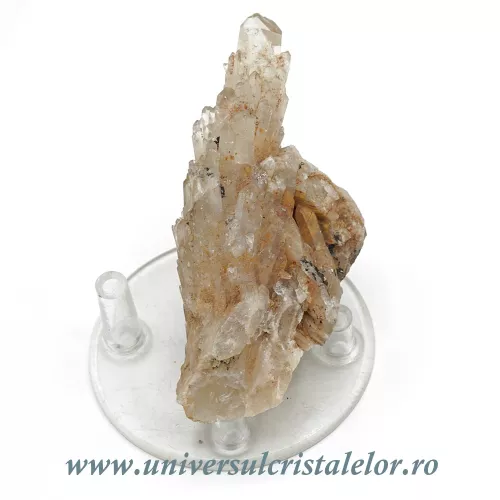 Citrin natural m30 Citrin natural m30