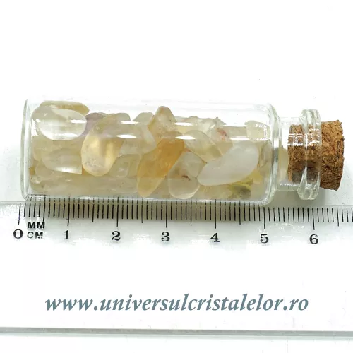 Sticluta citrin Sticluta citrin