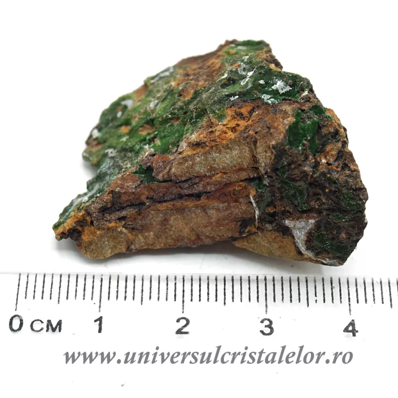 Conicalcit Conicalcit