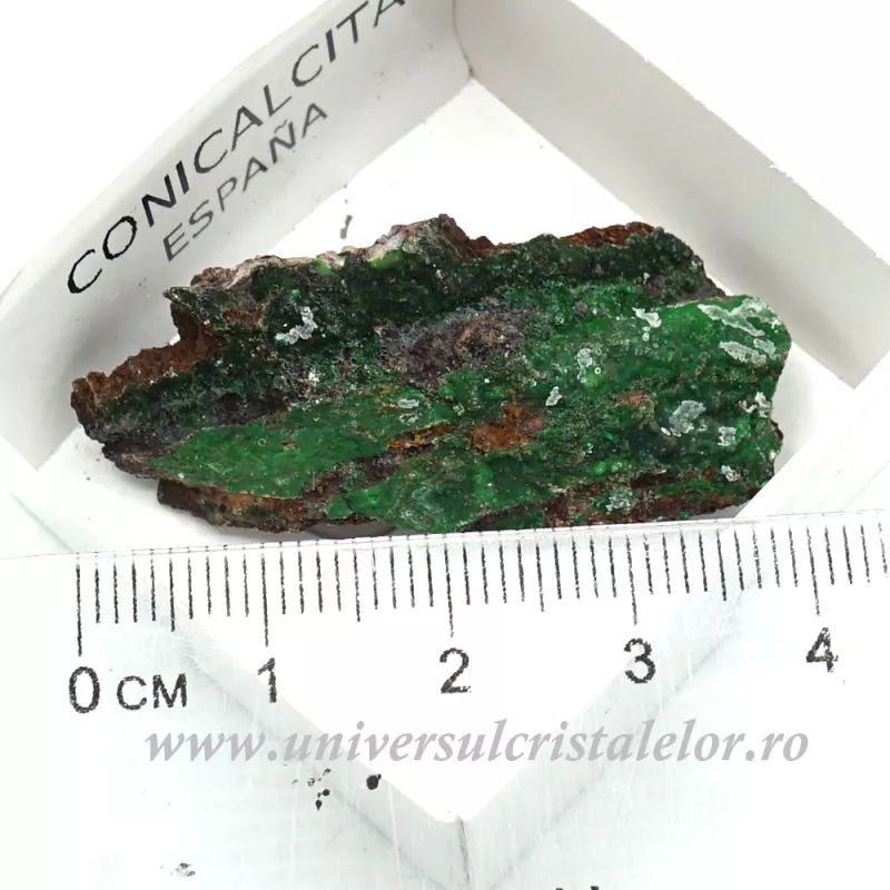 Conicalcit, Conichalcite Conicalcit, Conichalcite