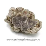 Coprolit de dinozaur