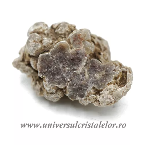 Coprolit de dinozaur