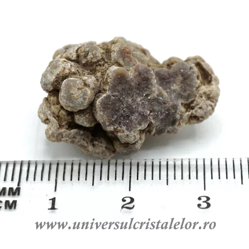 Coprolit de dinozaur