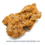 Coprolit broasca testoasa preistorica Coprolit broasca testoasa preistorica