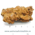 Coprolit broasca testoasa preistorica Coprolit broasca testoasa preistorica