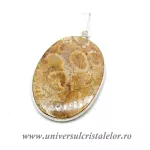 Pandantiv coral fosilizat