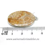 Pandantiv coral fosilizat