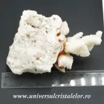 Coral Coral