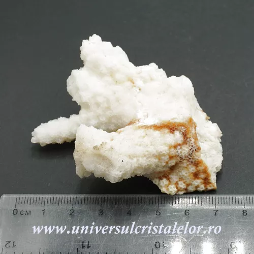 Coral Coral