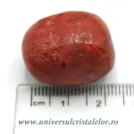 Coral rosu ( spongios )rulat Coral rosu ( spongios )rulat