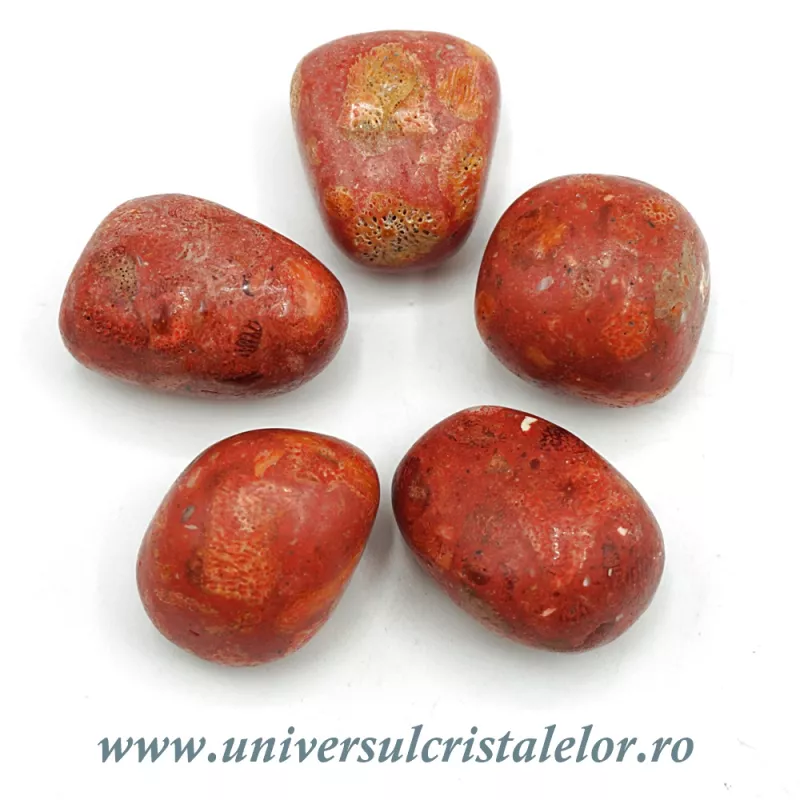 Coral rosu ( spongios ) piatra rulata Coral rosu ( spongios ) piatra rulata