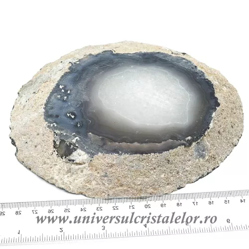 Felie cuart Felie cuart