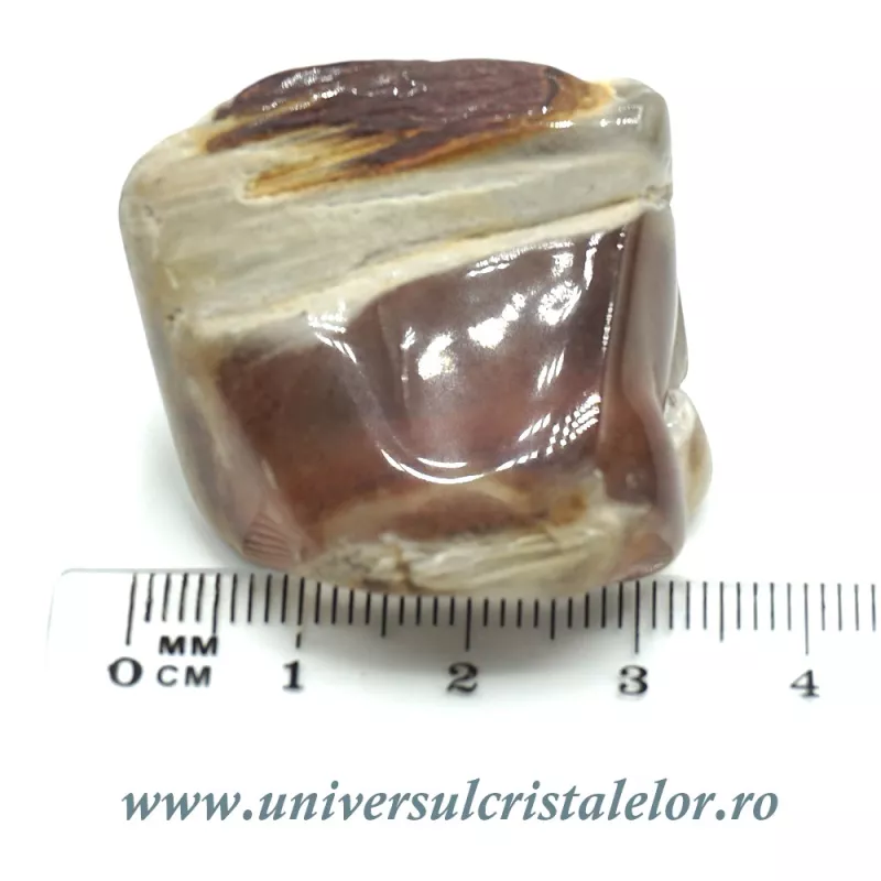 Cuart amfibol Cuart amfibol