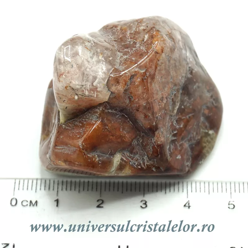 Cuart amfibol Cuart amfibol